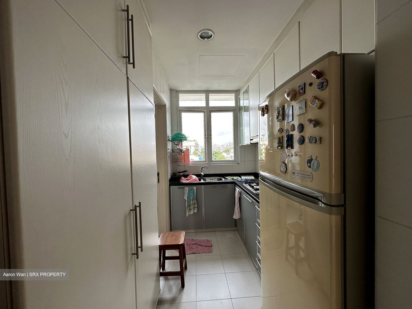 The Champagne (D14), Apartment #384532181